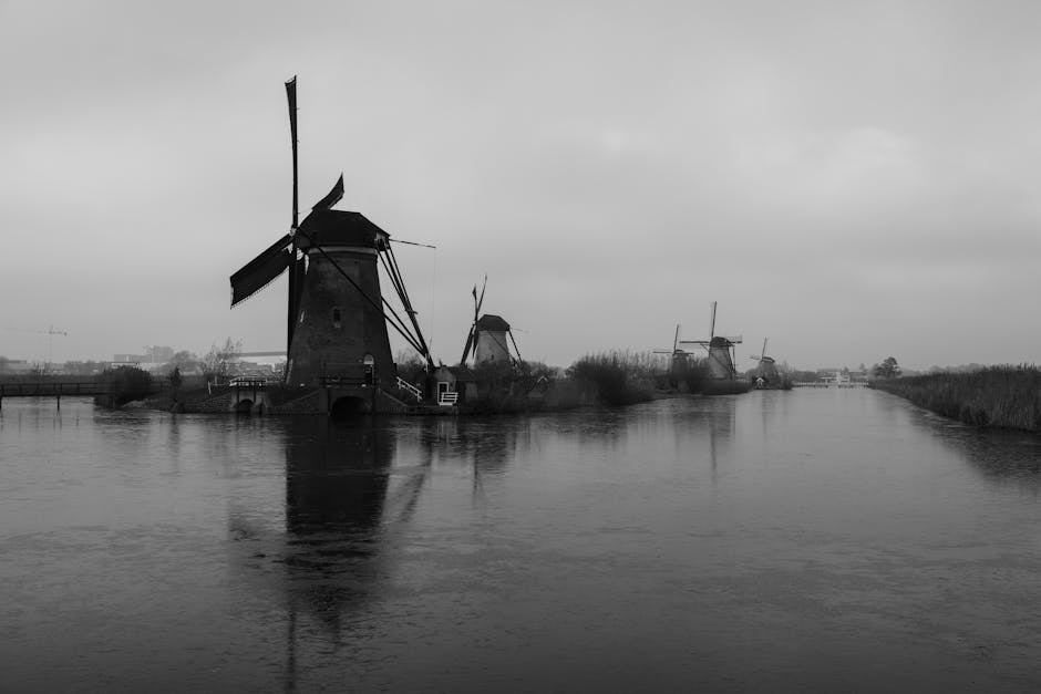 açık hava, araç, Avrupa içeren Ücretsiz stok fotoğraf